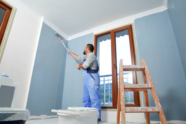 Best Residential Painting  in Trenton, IL